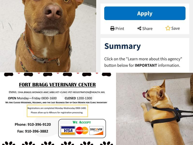 Veterinary Treatment Facility