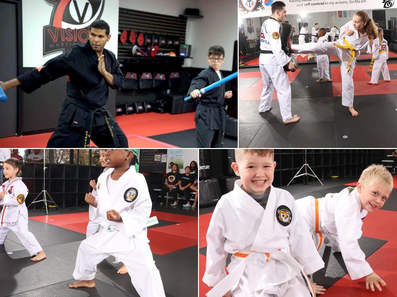 Vision Martial Arts
