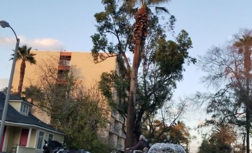 Festival of lights Giftshop