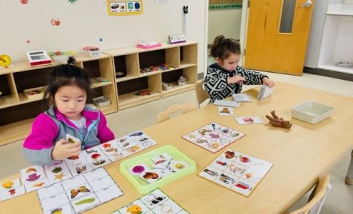 L'Academy Language Immersion Preschool, Cary NC