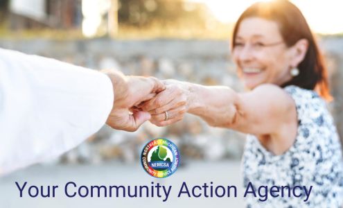 NEMCSA (Northeast Michigan Community Service Agency)