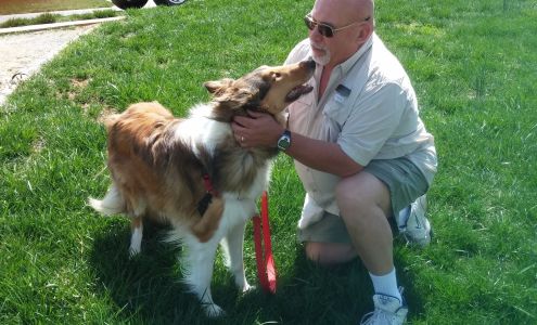 Coddle Creek Pet Services