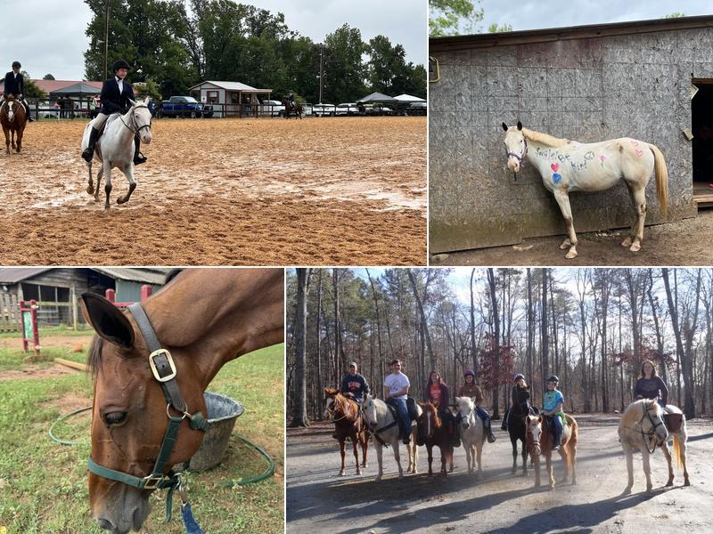 Gypsy's Gait Stables