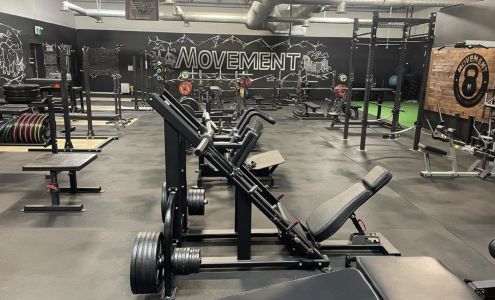 Movement Fitness and Performance
