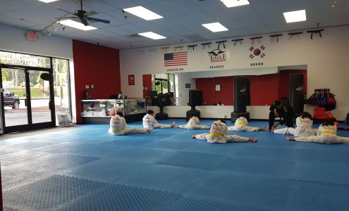 eagle taekwondo takes martial arts training to new heights