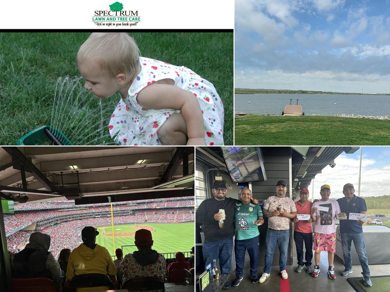 Spectrum Lawn & Tree Care