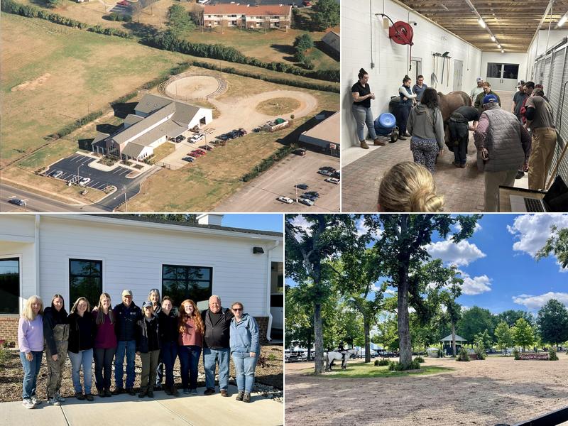 Neuse River Equine Hospital