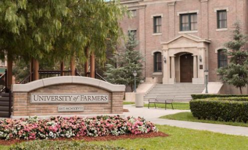 Farmers Insurance - Tiffani Sheehan Plains