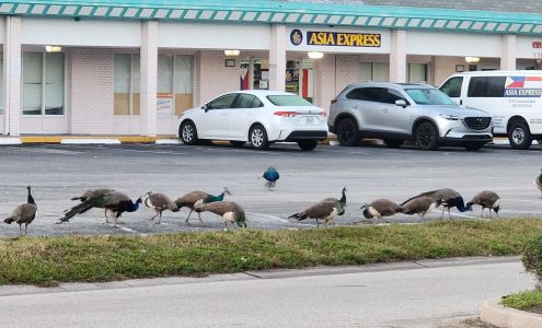 A Little This N That Thrift Store