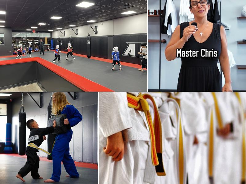 Absolute Martial Arts