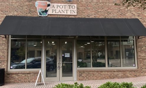 A Pot To Plant In -- Houseplant Shop