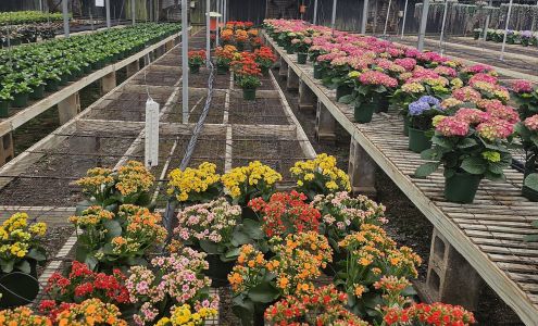 Southland Greenhouse