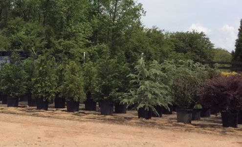 Fairways Nursery, Inc.