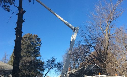 Geneva Tree Service Shickley