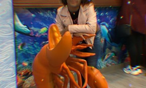 Pediatric Dentistry of Nassau County 300 Garden City Plaza #214, Garden City New York 11530