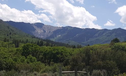 Reynolds Realty LLC Rifle