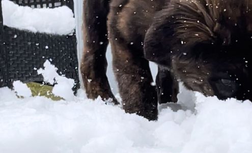 Windows / Mac / Mobile support services Wasaga Beach