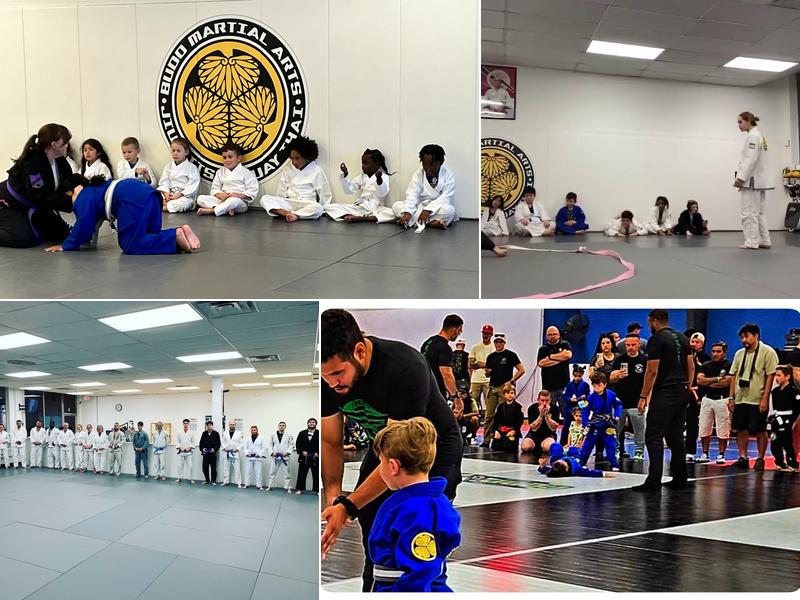 Budo Martial Arts Studio