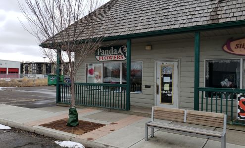 Cochrane Panda Flowers