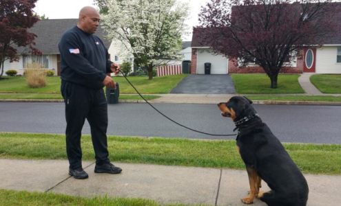 Anderson K9 Training, LLC Yardley