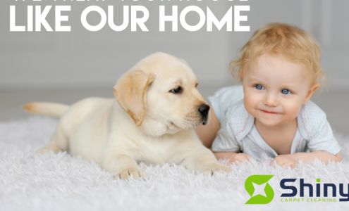 Shiny Carpet Cleaning 5429 22nd Rd N, Arlington Virginia 22205