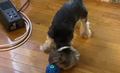 Whitman Elementary School