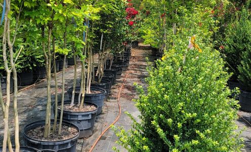 Pine Lake Nursery & Landscaping, Inc.