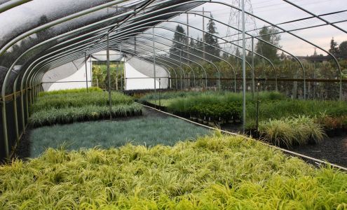 Loen Nursery Contractors' Yard & Business Office