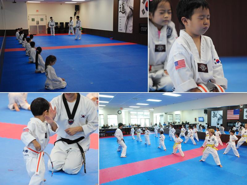 Top Mixed Martial Arts