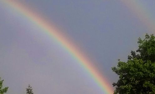 The New Jersey Greyhound Adoption Program Hampton