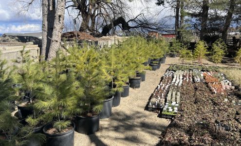 Central Nursery Inc