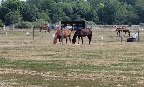 Suffolk Stables Shamong