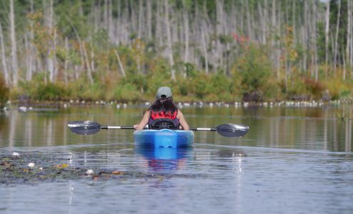 Pinelands Adventures Shamong