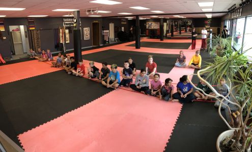 Lincoln Karate Clinic