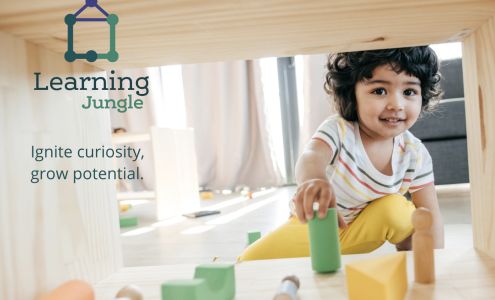 Learning Jungle Lone Mountain