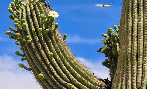 Procaps Laboratories