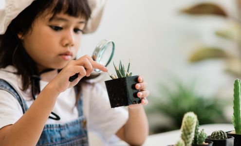 Northshore Learning Center