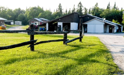 Sprucedale Quality Meats Sprucedale