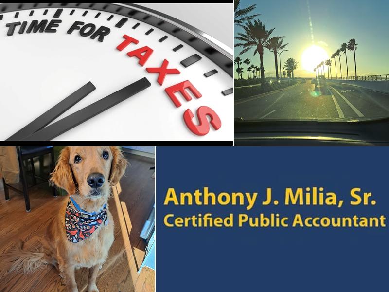 Milia Anthony J CPA