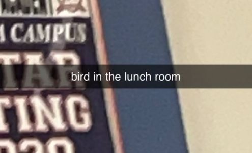 Pinecrest Academy- Inspirada