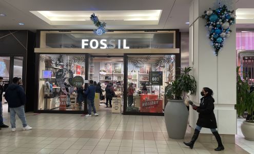 Fossil Store