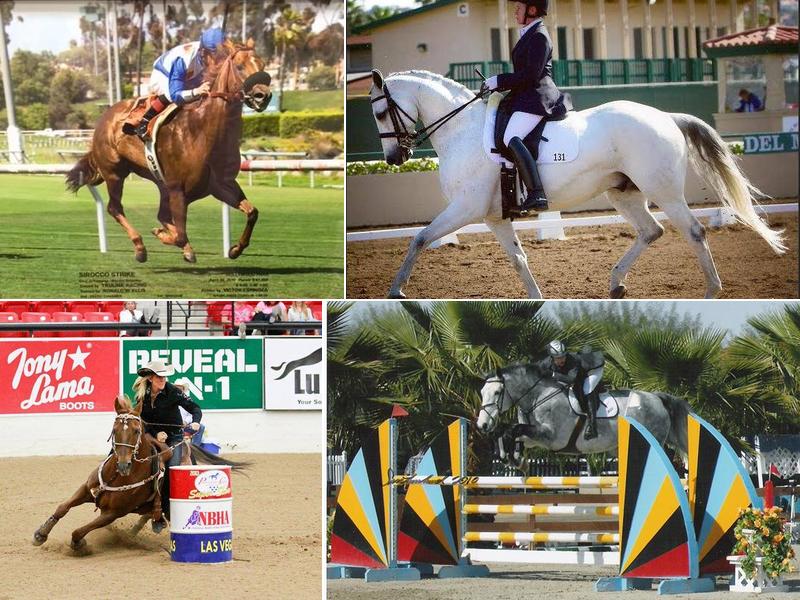 Gerald K. Huff, D.V.M.