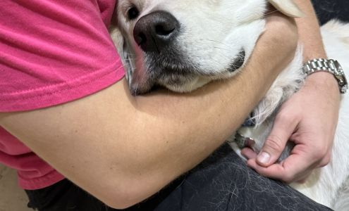 Pet Network Community Hospital 401 Village Blvd, Incline Village Nevada 89451