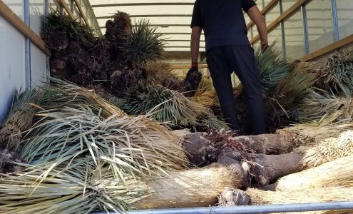 Twin Oaks Ranch Nursery