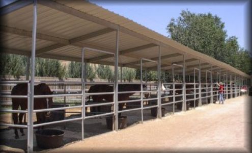 Liz Sanchez Training Stable Los Ranchos de Albuquerque