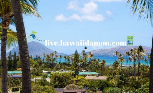 Damon Hawaii Pacific International Properties - Residential Realtor in Honolulu