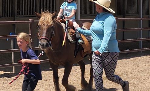 Platinum Performance Horses