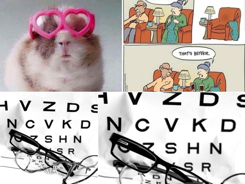 Shades-N-Specs Optical