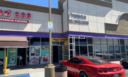 Sinaloa Insurance and Vehicle Registration Service