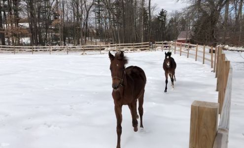 High Gait Stables Auburn